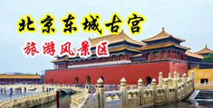 鸡巴骚逼操逼视频中国北京-东城古宫旅游风景区
